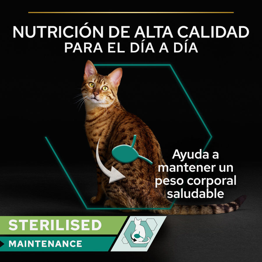 85 g Pro Plan Sterilised Maintenance Terrina con at&uacute;n y salm&oacute;n para gatos, , large indicador imagen numero 2